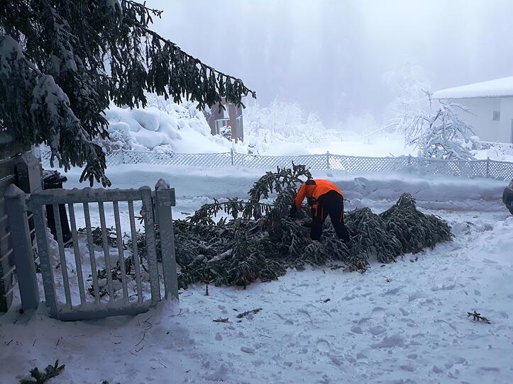 Rückblick Jänner 2019: Als Österreich im Schnee versank