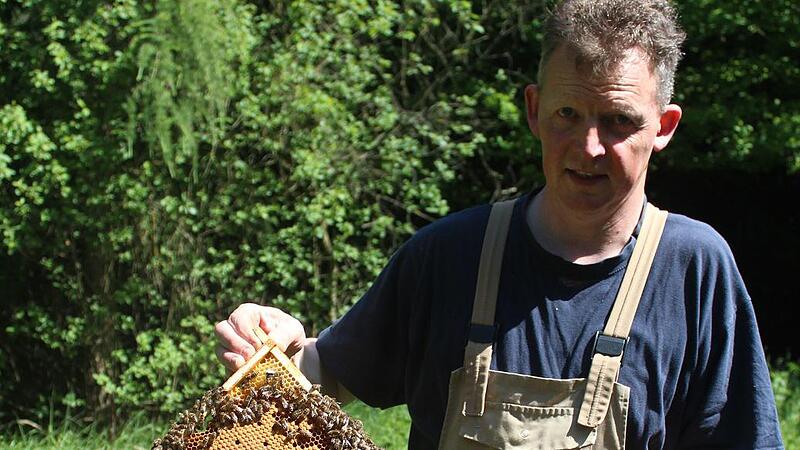 Hilfe für die Bienen: So retten wir auch die Artenvielfalt im Land