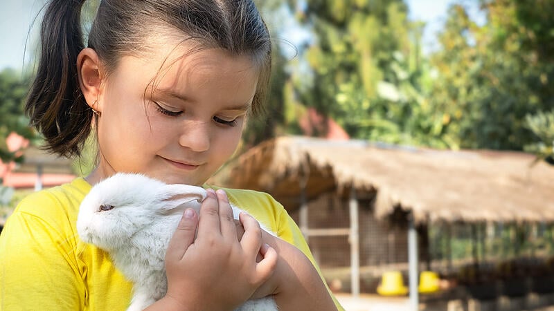 Portrait of a child with rabbit on a farm