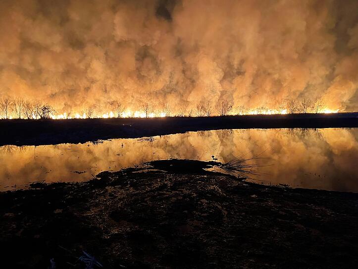 200 Hektar Schilf bei Großbrand am Neusiedlersee verbrannt