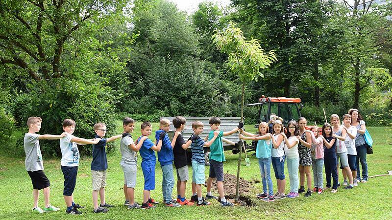 Schüler pflanzten Bäume zur Ehre ihrer Lehrerinnen