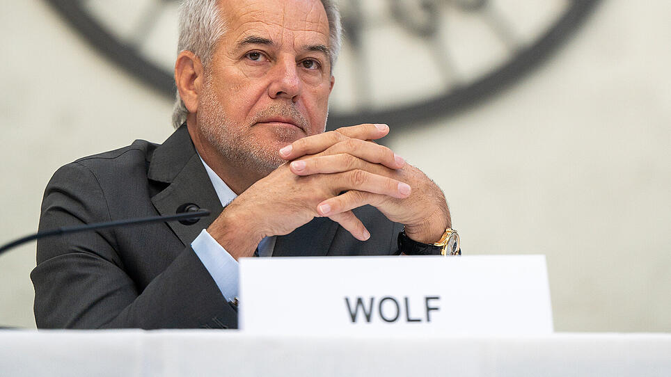 Wolf: Automobil-Konzerne haben Halbleiter-Problem unterschätzt