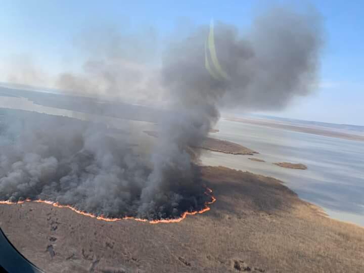 Feuer am Neusiedler See: 700 Hektar Schilf vernichtet