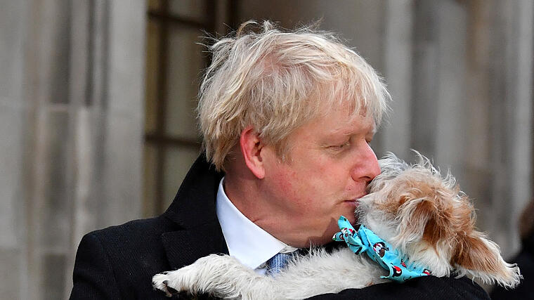 Boris Johnson: Mit Hund im Wahllokal