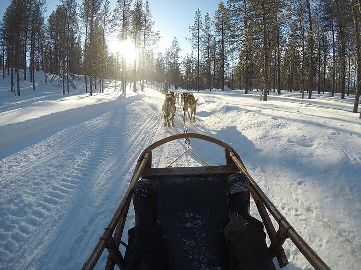 Fang das Nordlicht! Unterwegs in Finnland