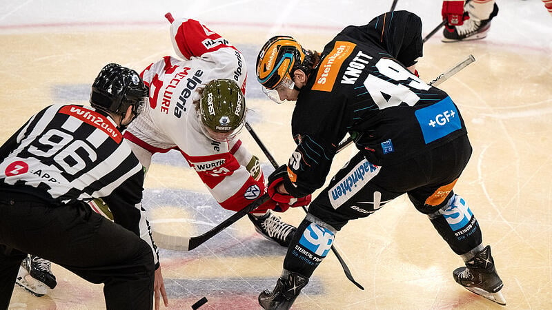 Live from 4:30 p.m.: Black Wings against Bolzano and the end of the season