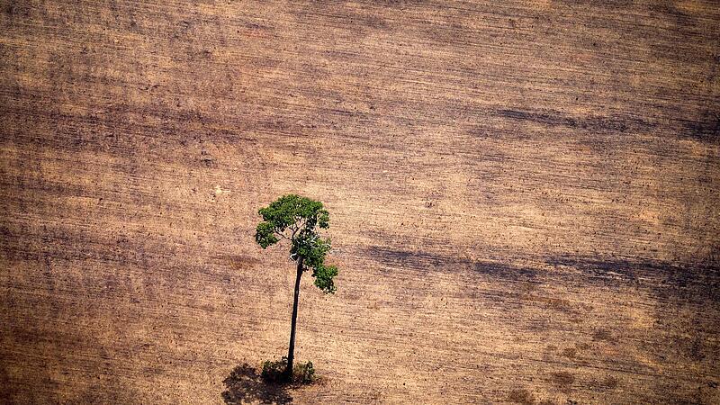 FILES-BRAZIL-AMAZON-DEFORESTATION