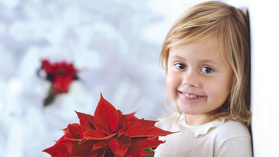 Zackige Hilfe fürs Christkindl bei Weihnachtsblumenschau