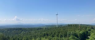 Abgelehnter Windpark: "Zu starke Beeinträchtigung für Naturhaushalt"