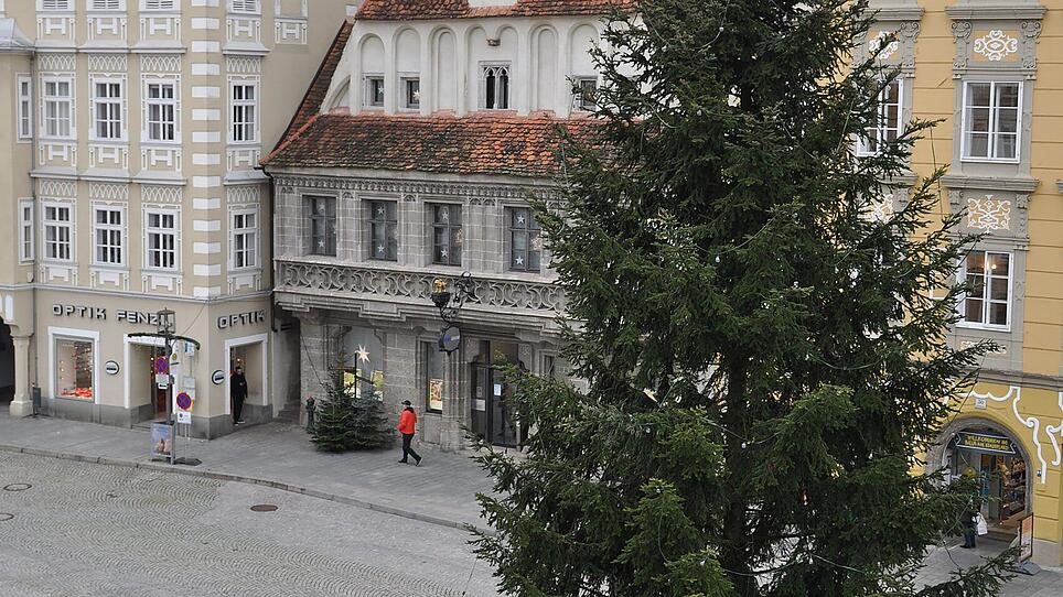Die große Tanne auf dem Stadtplatz stammt aus einem privaten Garten an der Haratzmüllerstraße. Ab Freitagabend wird der prächtige Baum beleuchtet und für weihnachtliche Stimmung in der Innenstadt sorgen.