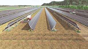 Rohrbach will Photovoltaik ausbauen, "Sonnenfeld" aber massiv kritisiert