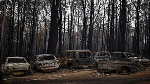 Buschbrände in Australien: Weite Teile des Landes zerstört