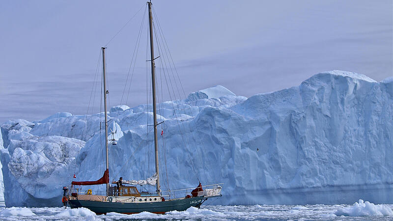 Zwei Jahre lang in der Arktis: Freiwillig eingefroren und von Eisbären beäugt