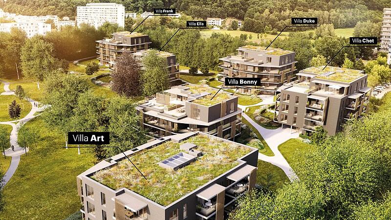 Wohnbauträger nach Linzer Beschluss zu Mietendeckelung verunsichert