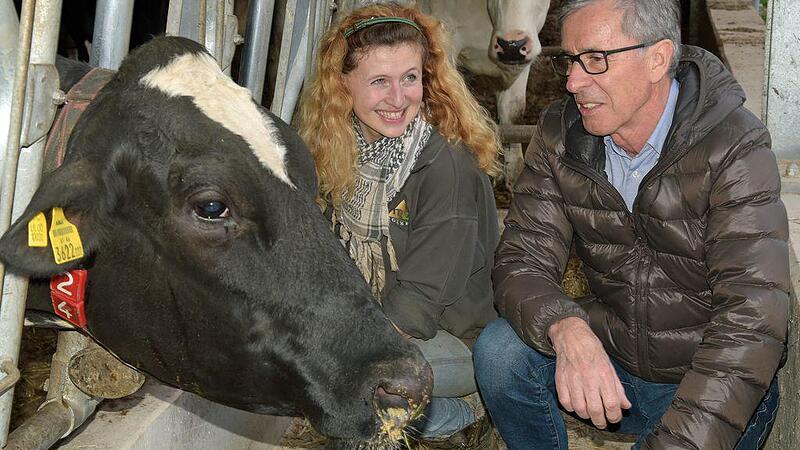 Der Herr Primar und das liebe Vieh: "Werner, bitte rette meine Kuh"
