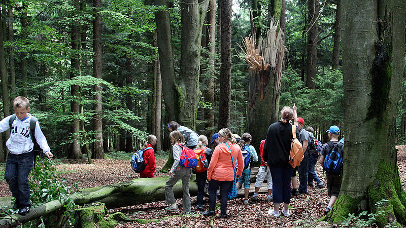 Über und von der Natur lernen: Waldschule in Esternberg öffnet