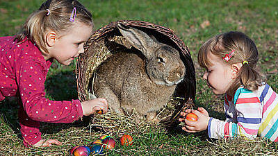 Kinder freuen sich auf Ostern