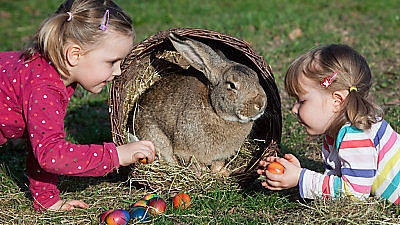 Kinder freuen sich auf Ostern