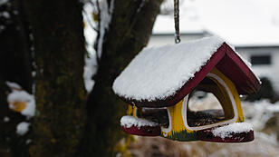 Schnee in Oberösterreich - Die schönsten Fotos der OÖN-Leser