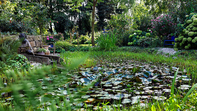 Ein Garten wie ein Bild von Monet