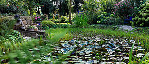 Ein Garten wie ein Bild von Monet