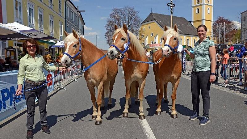 Pony-Verlosung beim Pferdemarkt Waizenkirchen