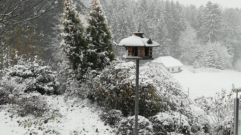 Snow in Upper Austria - the most beautiful photos of the OÖN readers
