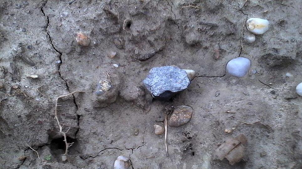 Linzer fand Bruchstück des Meteoriten: "Wie zwei Lottosechser hintereinander"