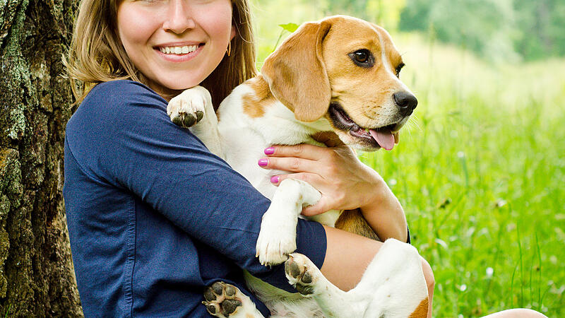 Tierärztekammer bietet Kurse für Hundehalter an