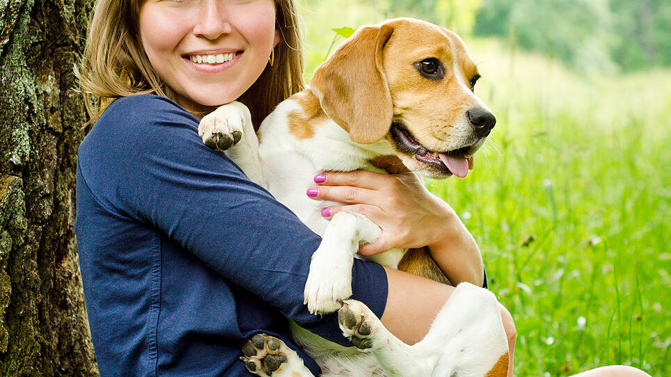 Tierärztekammer bietet Kurse für Hundehalter an