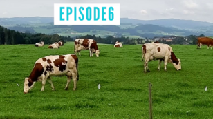 Podcast "Einzig-Ort-iges Oberösterreich": Episode 6