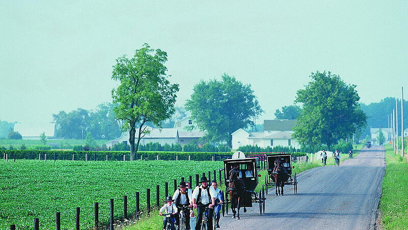 Auf dem Kutschbock durch Amish Country