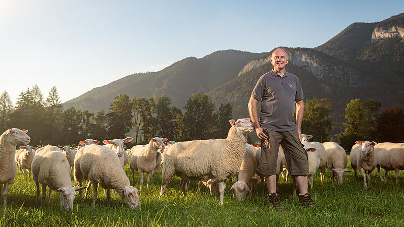 Schafzüchter in St. Gilgen holt höchste deutsche Agrar-Auszeichnung ins Land