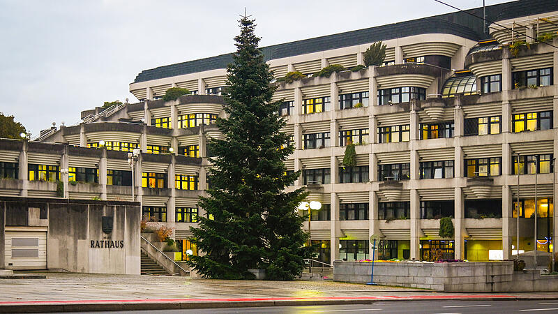 Linz pflanzt sich für Weihnachten eigene Bäume