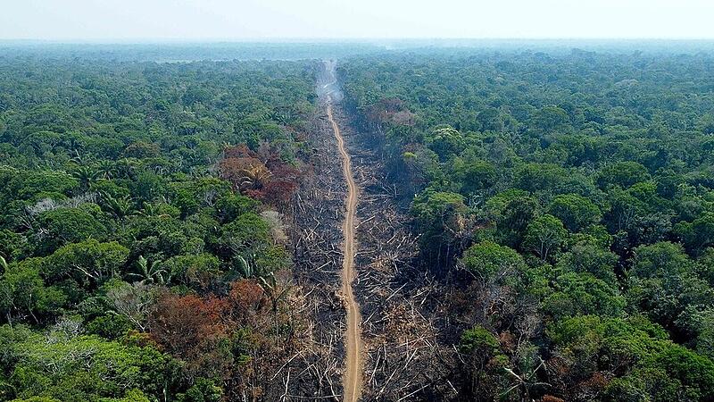 BRAZIL-ENVIRONMENT-AMAZON-DEFORESTATION-AFP ENVIRONMENT PICTURES