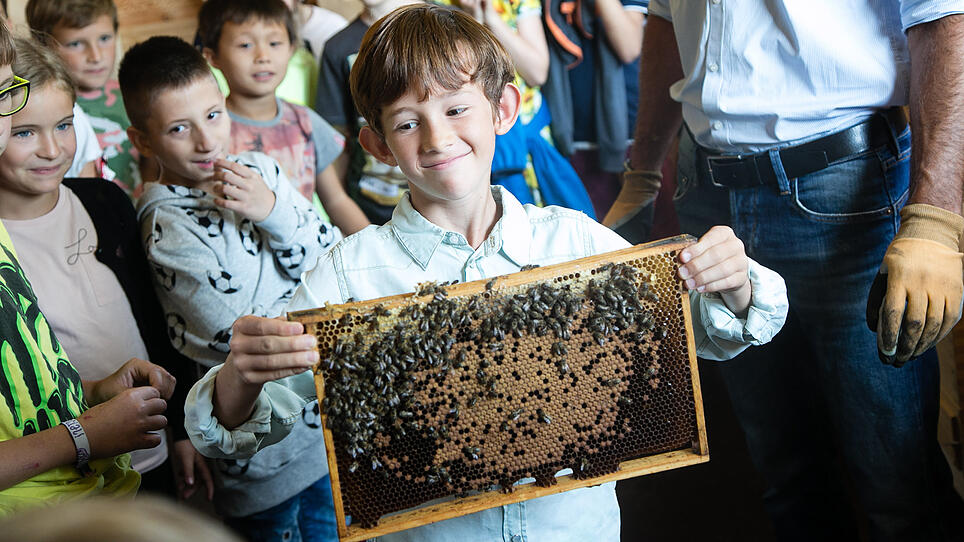 Zehn Bienenvölker und eine Honig-Manufaktur