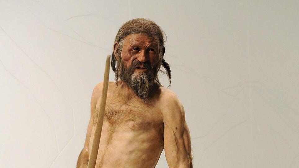Was trieb Ötzi über die Alpen? Kupfer war es nicht