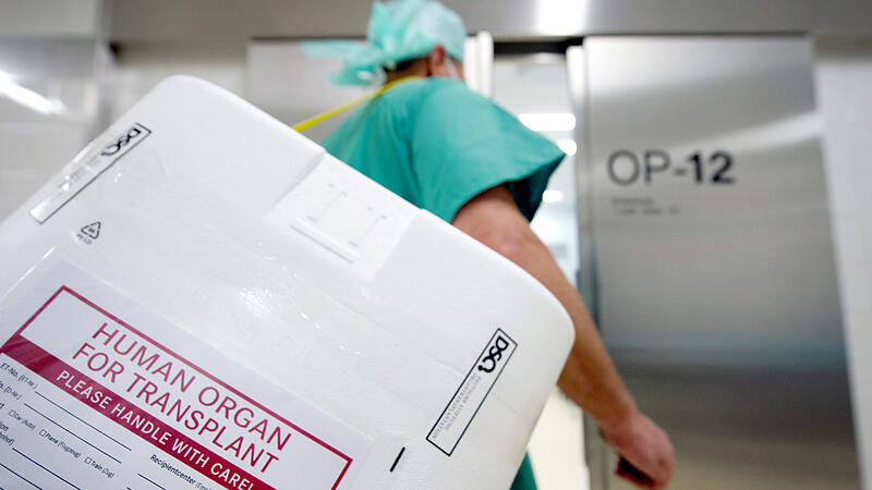 In Österreich werden jährlich 430 Nieren transplantiert
