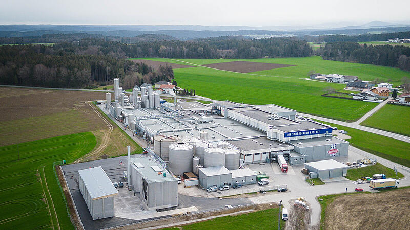 Größte Käserei Österreichs setzt auf Biomasse