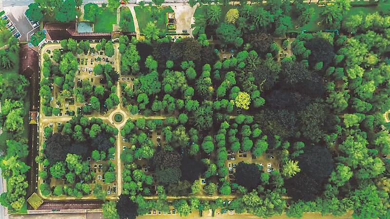 Ried: Alleine auf Friedhof müssen 35 Bäume weg