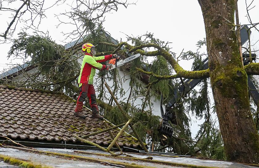 Sturm "Sabine": Schäden in Oberösterreich