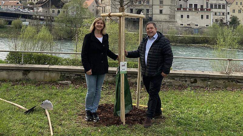Joe Suttmann schenkte der Partnerstadt Steyr aus Liebe zwei Bäume fürs Klima