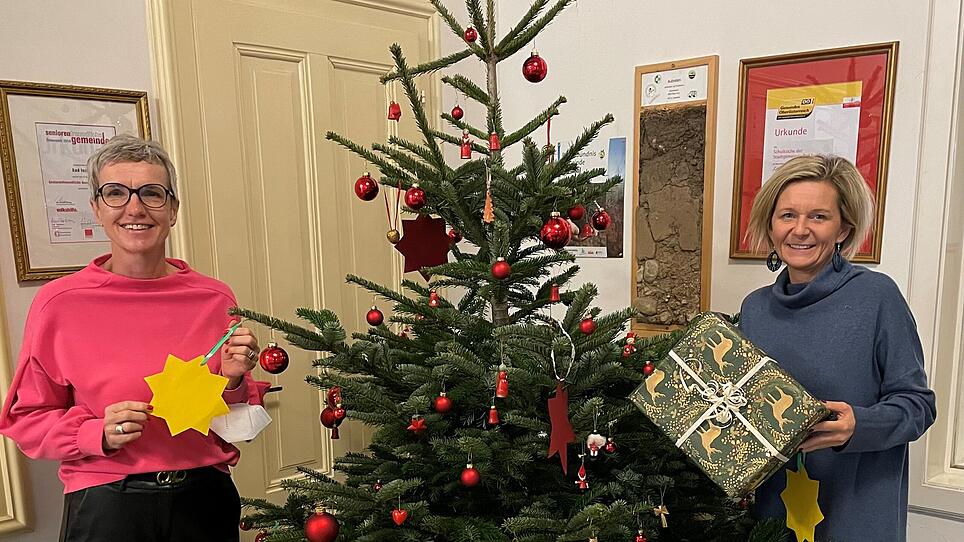 Bad Ischl hat wieder einen Weihnachtswunderbaum