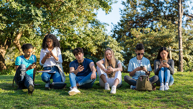Group of teenage friends looking at the phone in the park on green grass