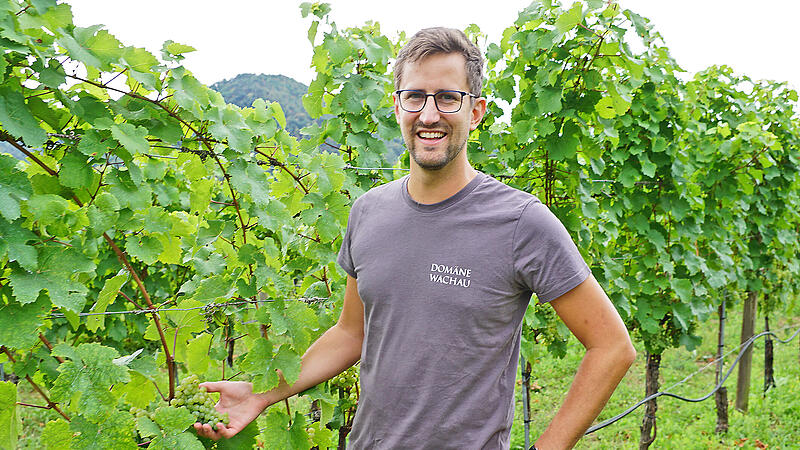 Aus dem bierseligen Innviertel als Wein-Experte in die Wachau