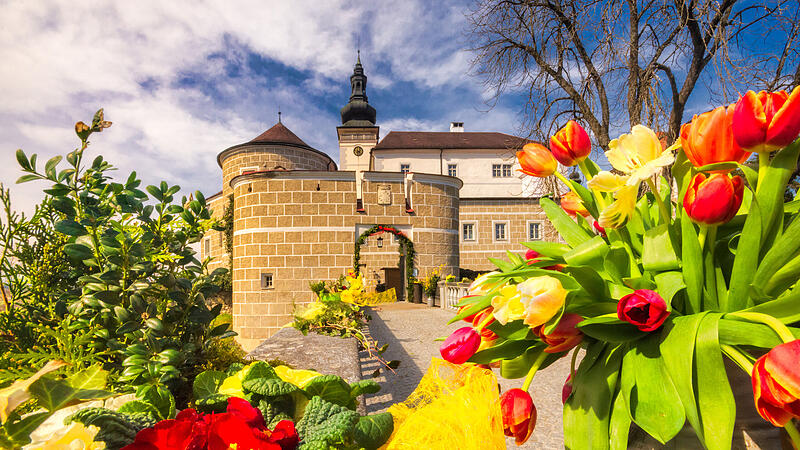 Das Schloss Weinberg beherbergte im Jahr 2022 so viele Gäste wie noch nie