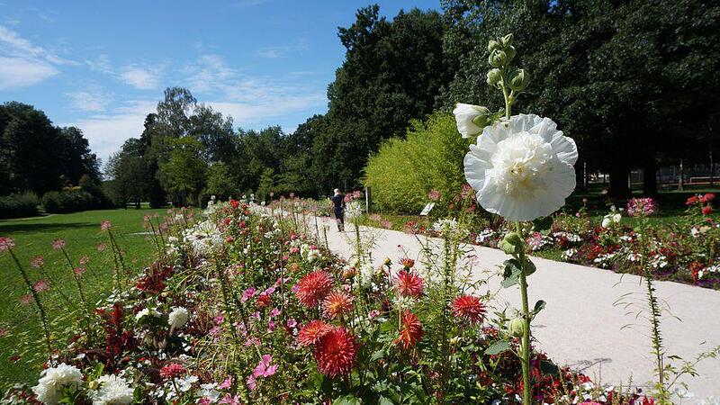 Botanica-Park bleibt auch fünf Jahre nach Gartenschau Attraktion