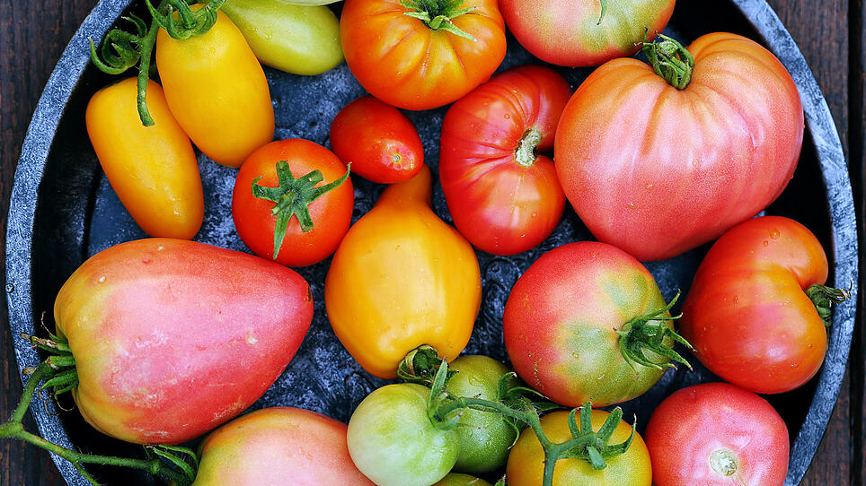 Tomaten-Gusto der Österreicher ist groß, die Überproduktion auch