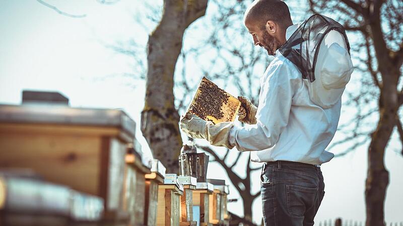 Honigwein und Bienenbrot: Wie ein Welser mit Süßem Erfolg haben will