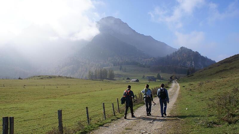 Betagte Wanderer gerieten im Gebiet der Eisenauer Alm in Bergnot: Gerettet